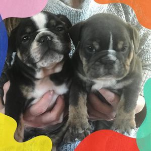 Meet your Posher, Tabitha